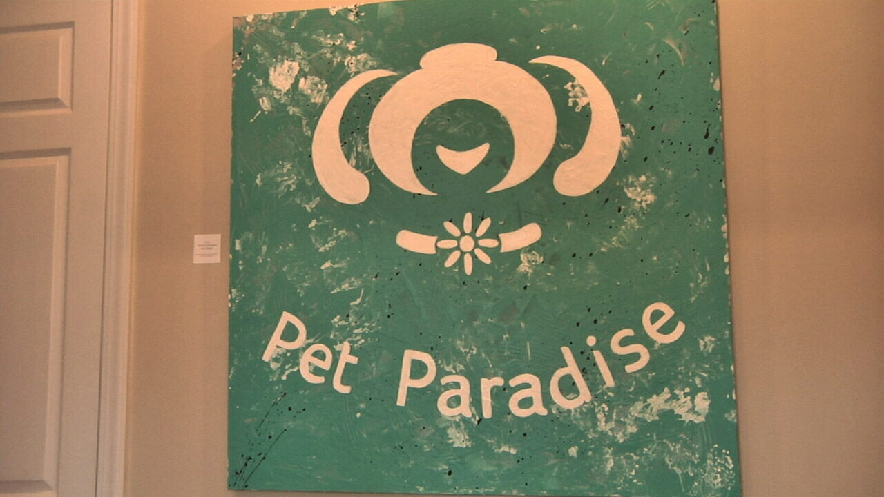 Pet_Paradise